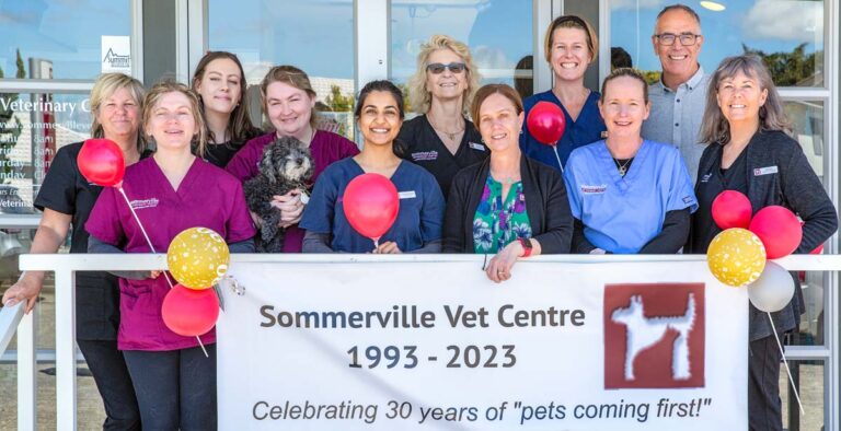 Celebrating 30 years of caring for pets