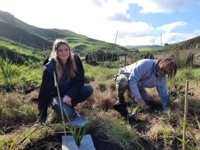 Two million native plants  grown by students